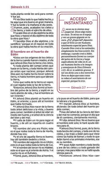 RVR60: BIBLIA DE ESTUDIOS PARA JÓVENES