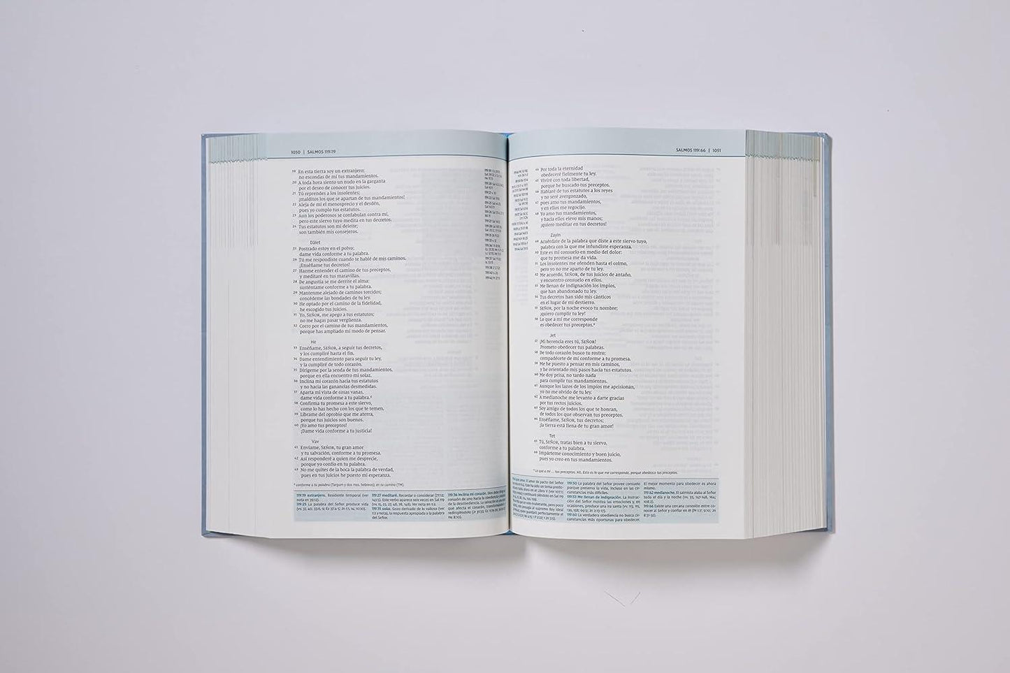 NVI: BIBLIA DE ESTUDIO TEOLOGÍA BÍBLICA