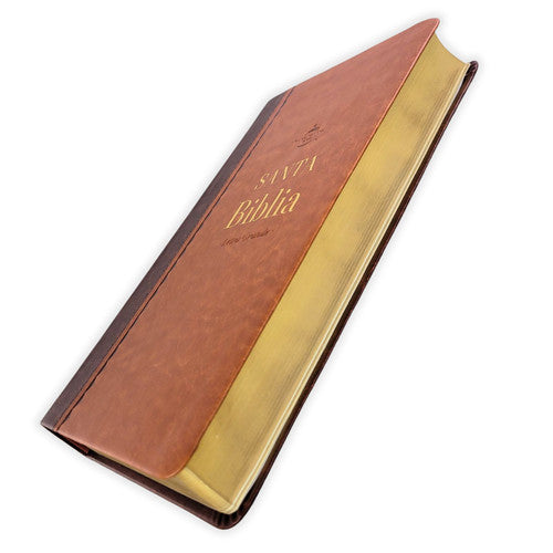 RVR60: SANTA BIBLIA LETRA GRANDE