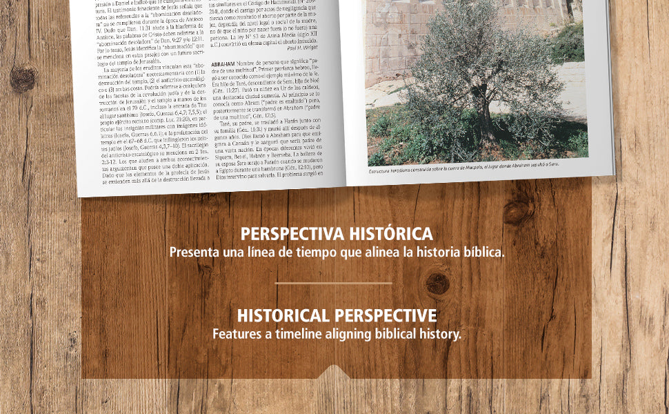 DICCIONARIO BÍBLICO ILUSTRADO HOLMAM