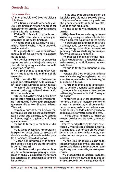 RVR60: BIBLIA DE ESTUDIOS PARA JÓVENES