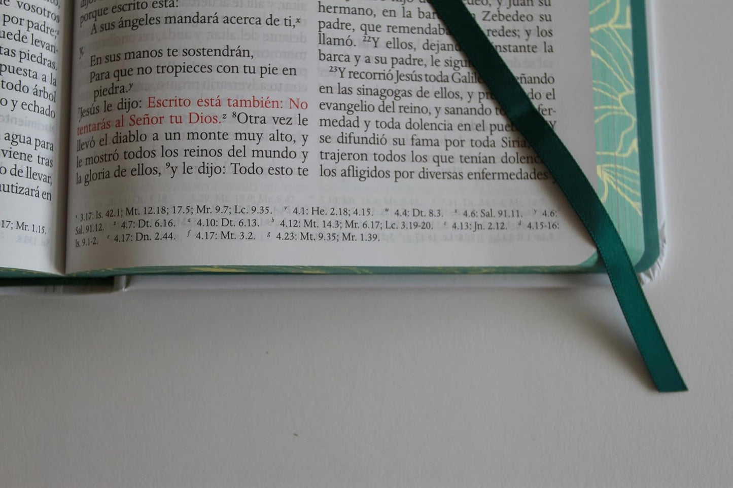 RVR60: SANTA BIBLIA