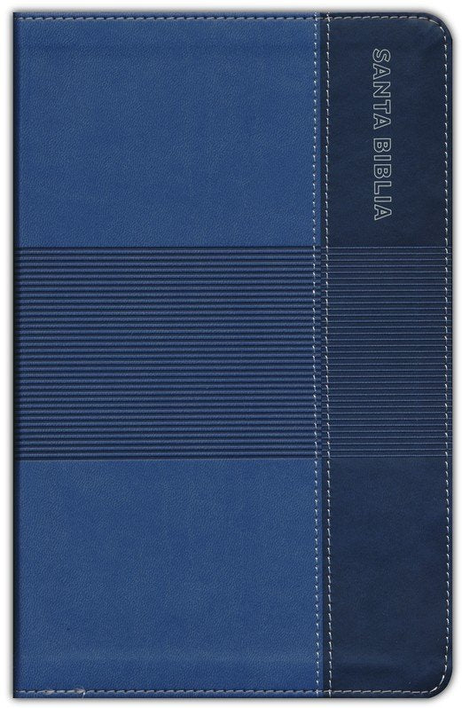 RVR60: BIBLIA DE ESTUDIOS PARA JÓVENES
