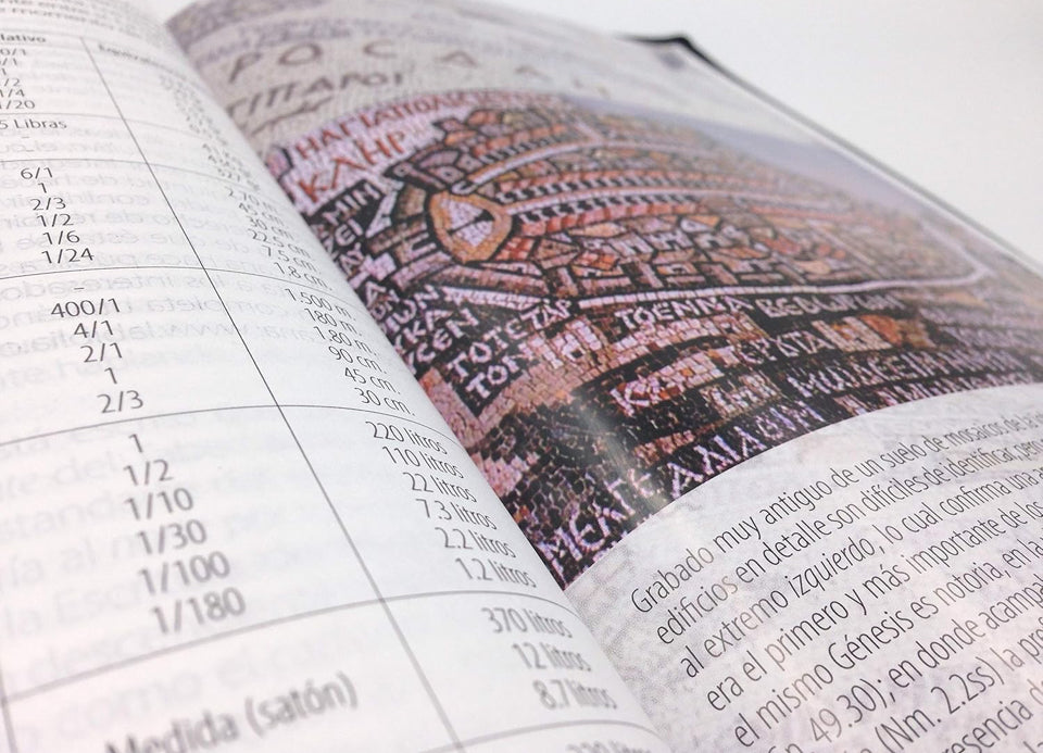 BIBLIA TEXTUAL BTX