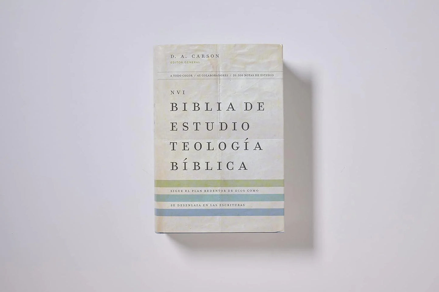 NVI: BIBLIA DE ESTUDIO TEOLOGÍA BÍBLICA