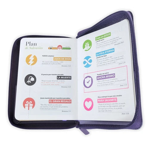 RVR60: BIBLIA DE BOLSILLO