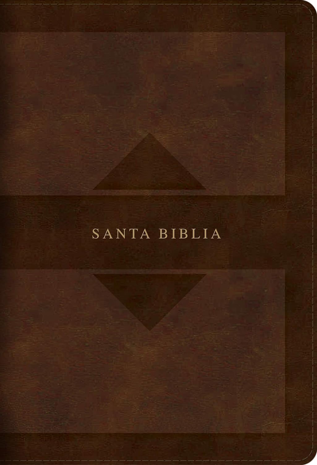 RVR60: BIBLIA EDICIÓN TIERRA SANTA