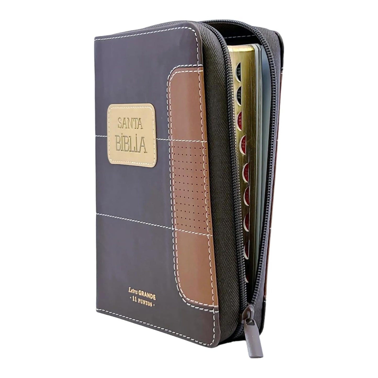 RVR60: SANTA BIBLIA LETRA GRANDE
