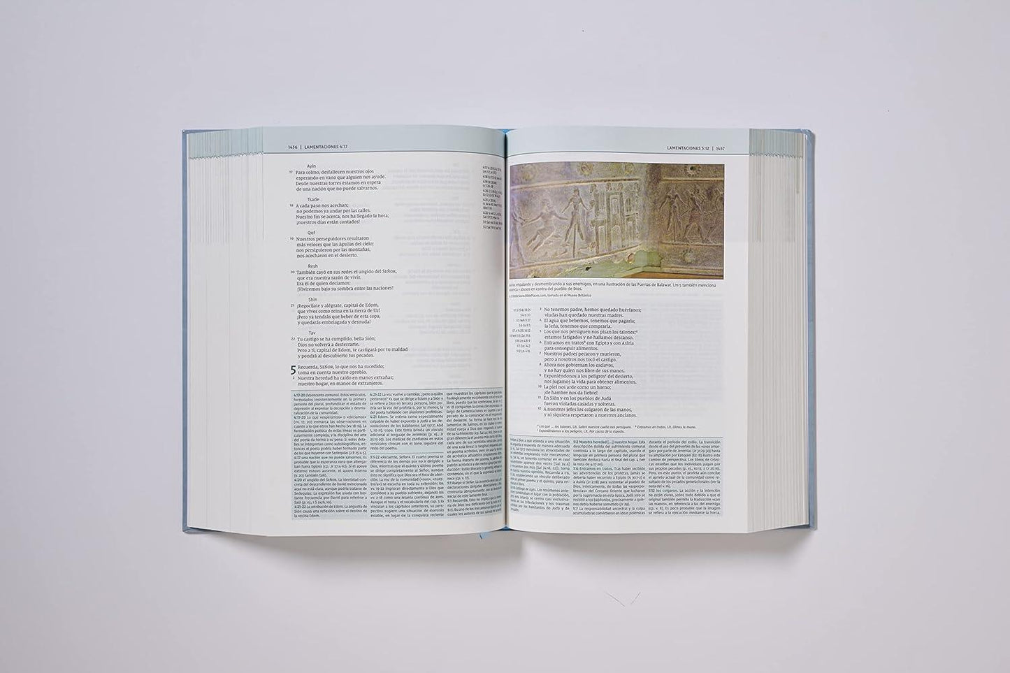 NVI: BIBLIA DE ESTUDIO TEOLOGÍA BÍBLICA