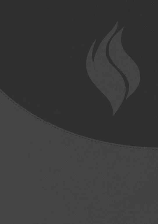 BIBLIA VIDA PLENA: ACTUALIZADA Y AMPLIADA