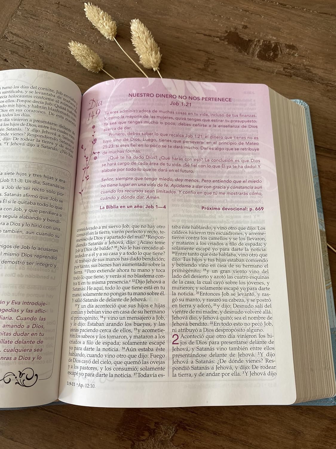 RVR60: LA BIBLIA DE LA MUJER CONFORME AL CORAZÓN DE DIOS
