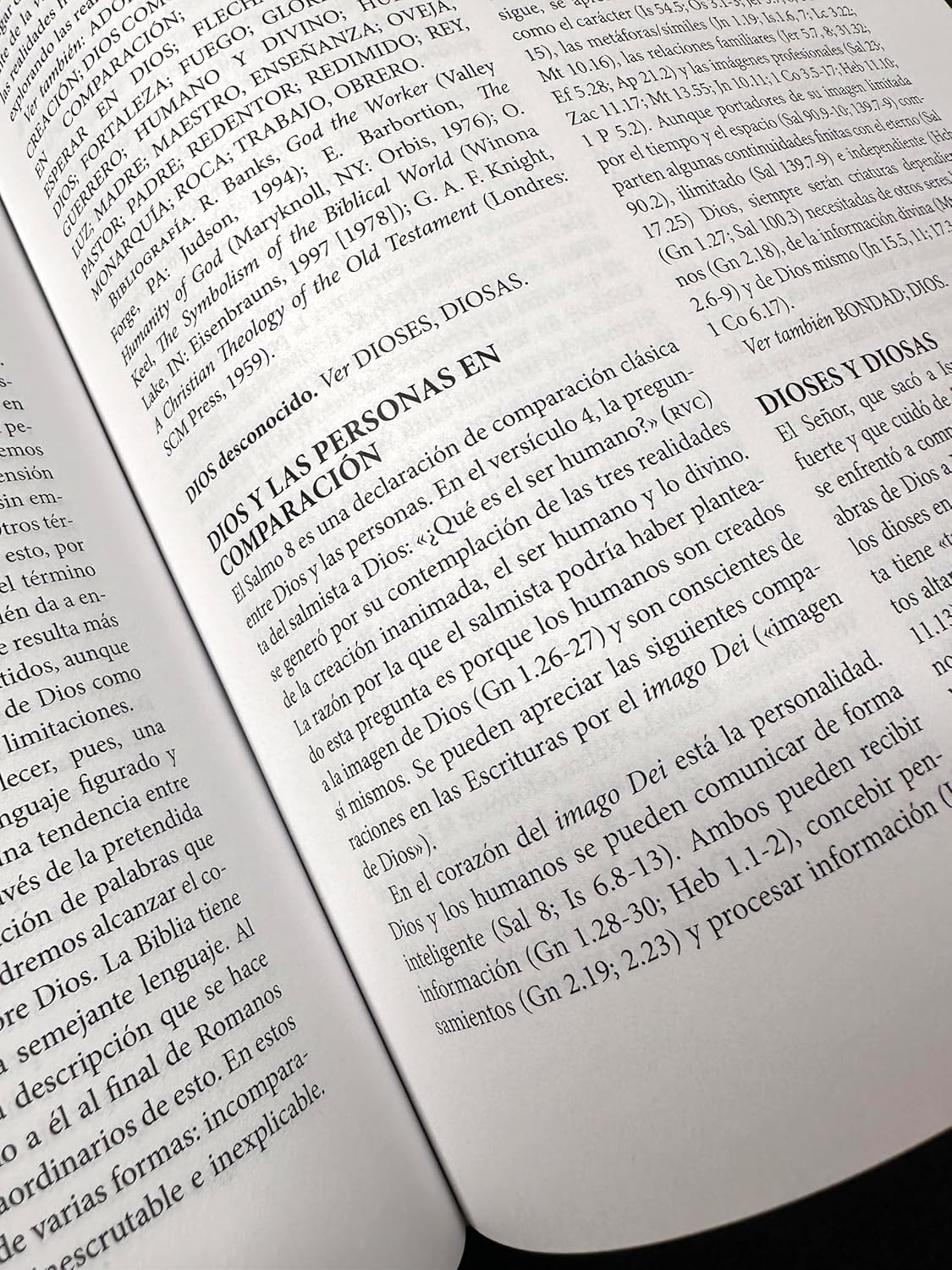 RVR60: LA BIBLIA DE LA MUJER CONFORME AL CORAZÓN DE DIOS