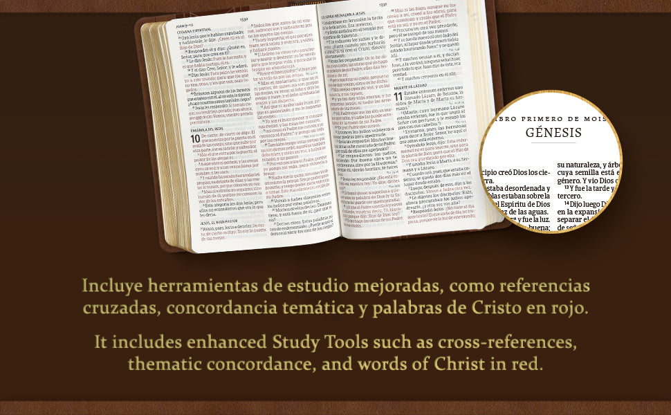 RVR60: SANTA BIBLIA LETRA GRANDE TAMAÑO MANUAL