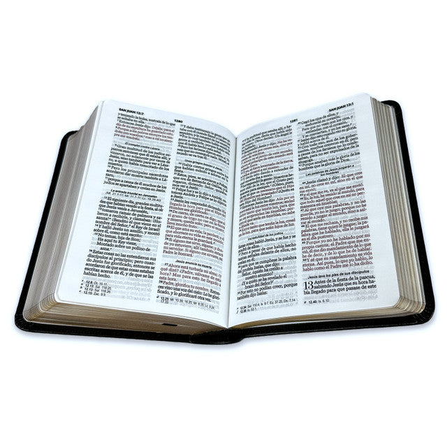 RVR60: SANTA BIBLIA