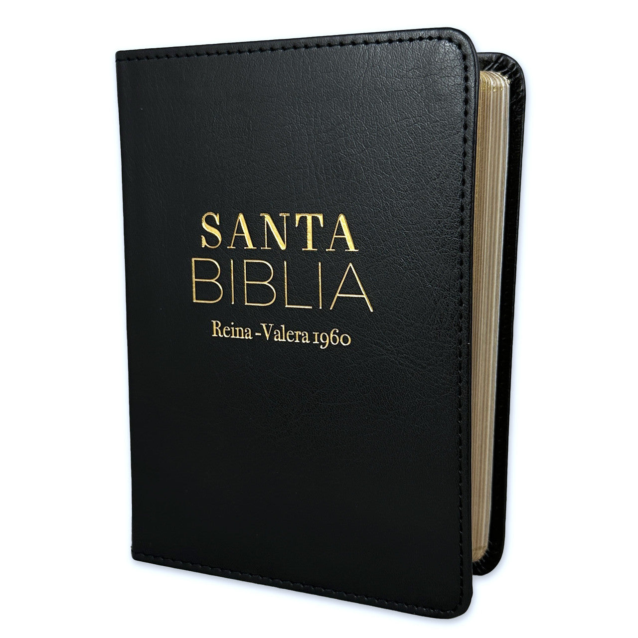 RVR60: SANTA BIBLIA