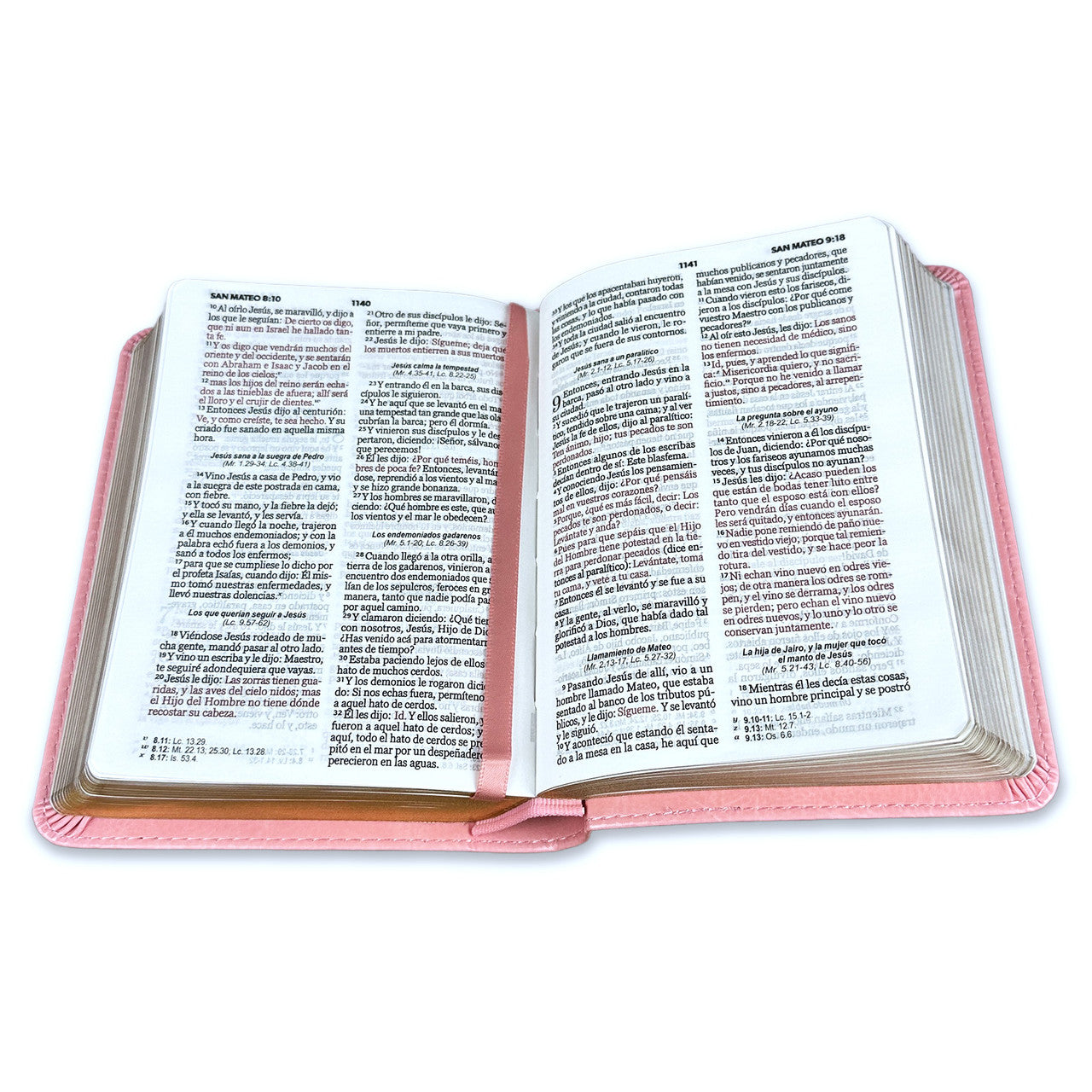 RVR60: SANTA BIBLIA