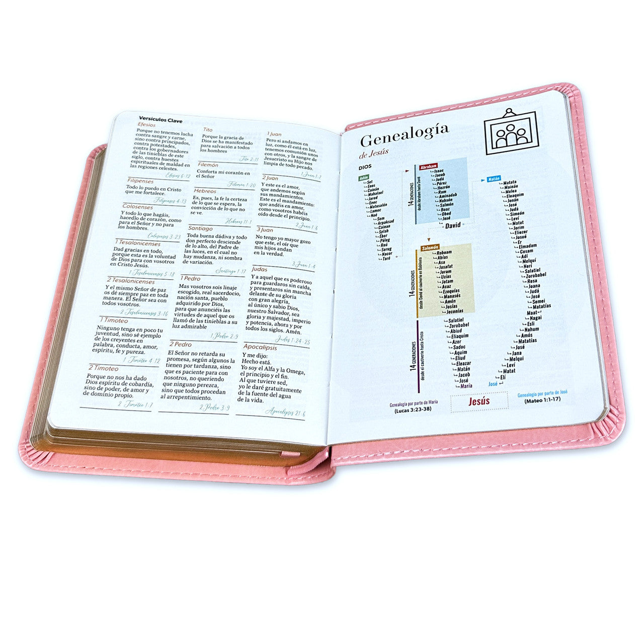 RVR60: SANTA BIBLIA