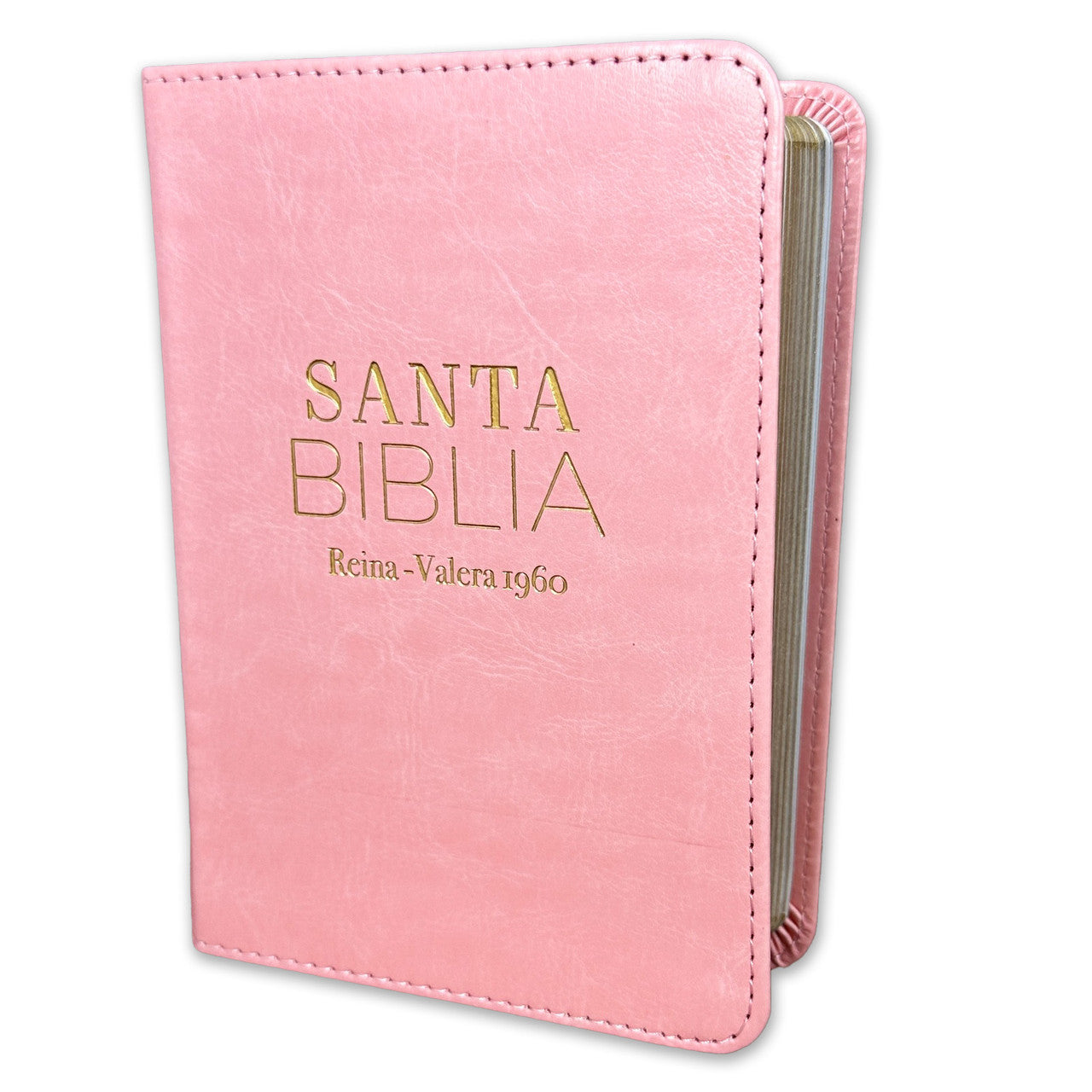 RVR60: SANTA BIBLIA
