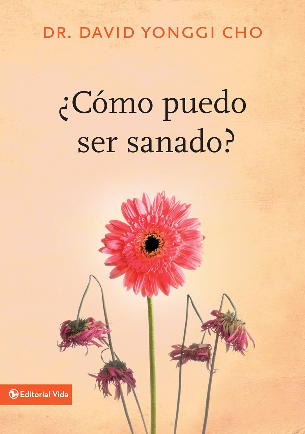 ¿CÓMO PUEDO SER SANADO?