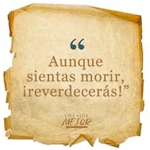 UNA VIDA MEJOR