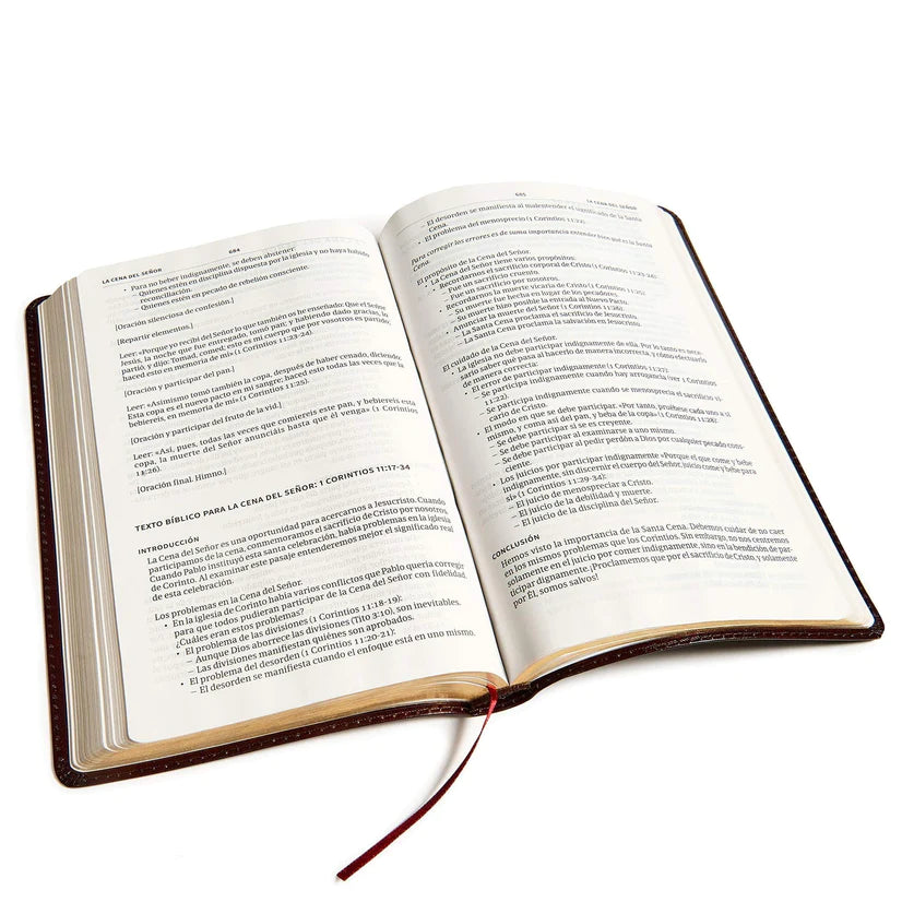RVR60: BIBLIA DEL MINISTRO