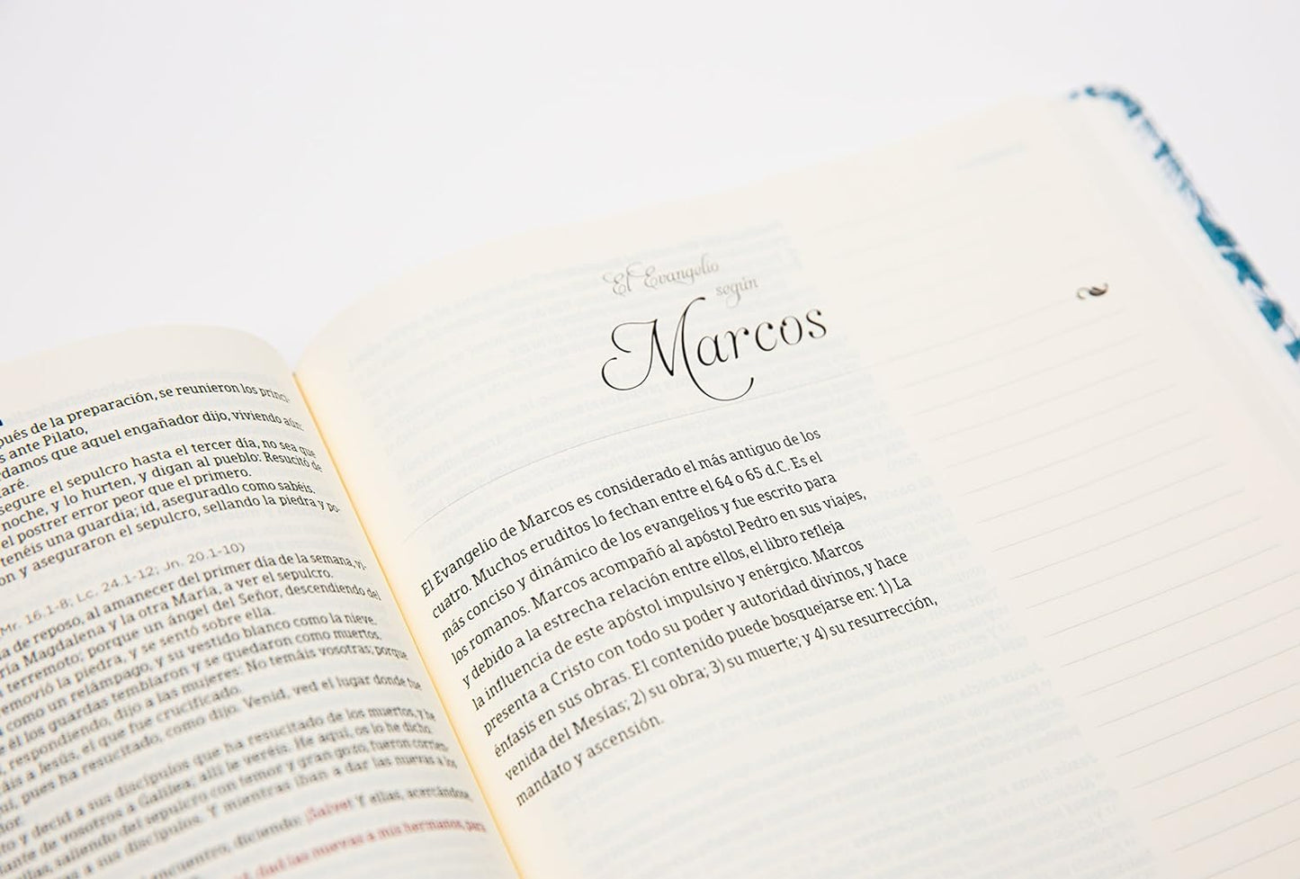 RVR60: BIBLIA DE APUNTES