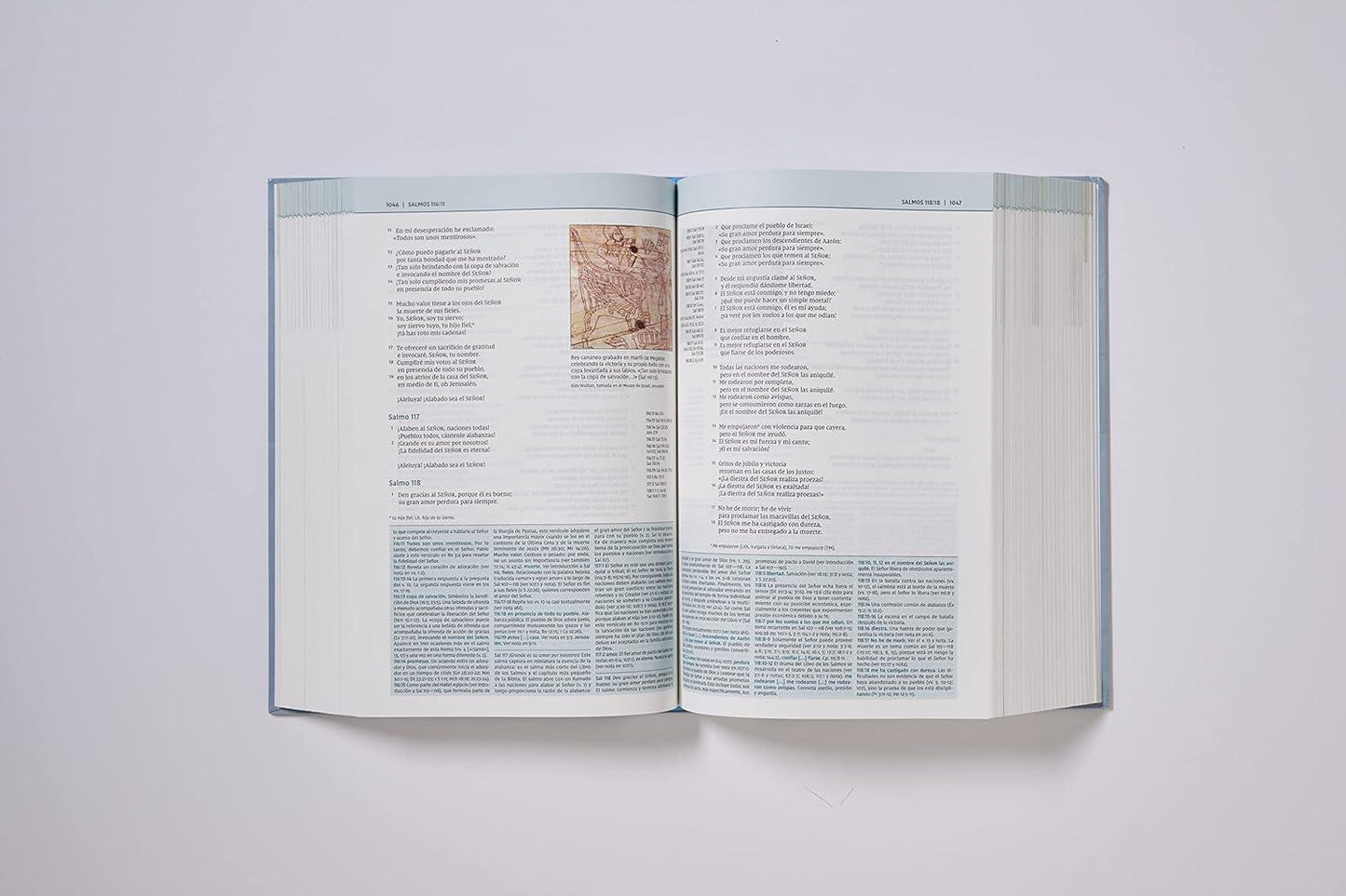 NVI: BIBLIA DE ESTUDIO TEOLOGÍA BÍBLICA