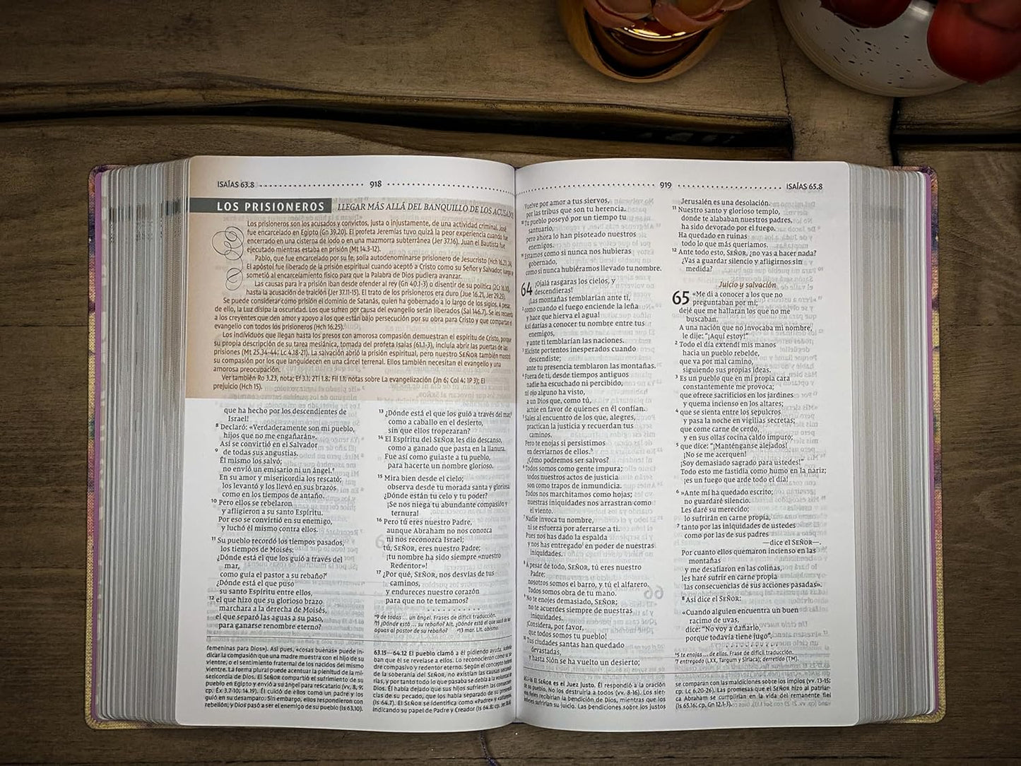NVI: BIBLIA DE ESTUDIO PARA LA MUJER