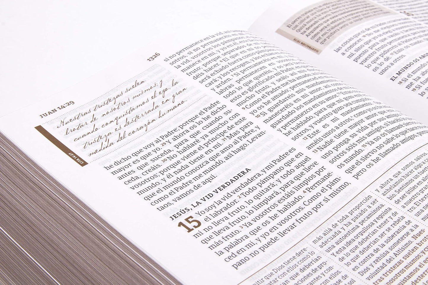 RVR60: BIBLIA DE ESTUDIO SPURGEON