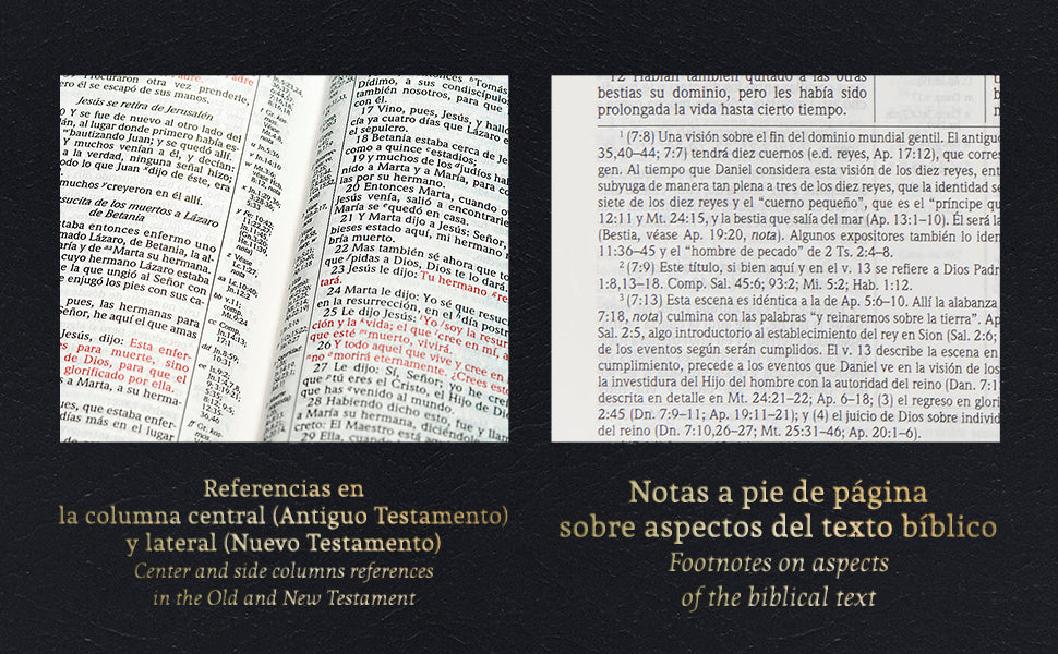 RVR60: BIBLIA DE ESTUDIO SCOFIELD | SIMIL PIEL