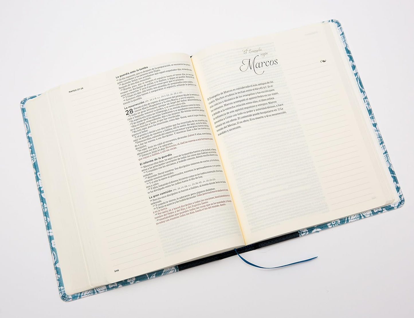 RVR60: BIBLIA DE APUNTES