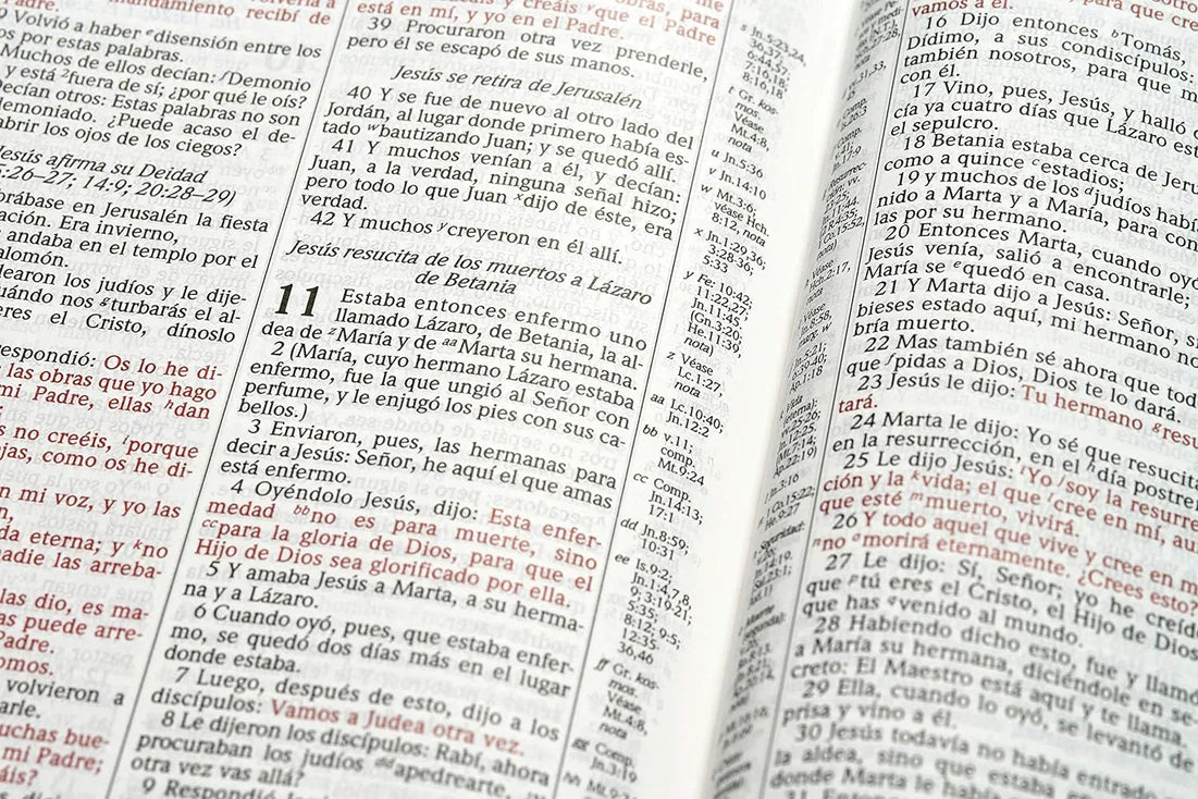 RVR60: BIBLIA DE ESTUDIO SCOFIELD