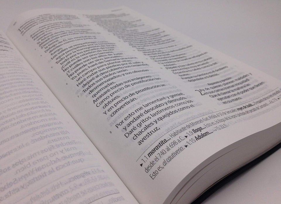 BIBLIA TEXTUAL BTX