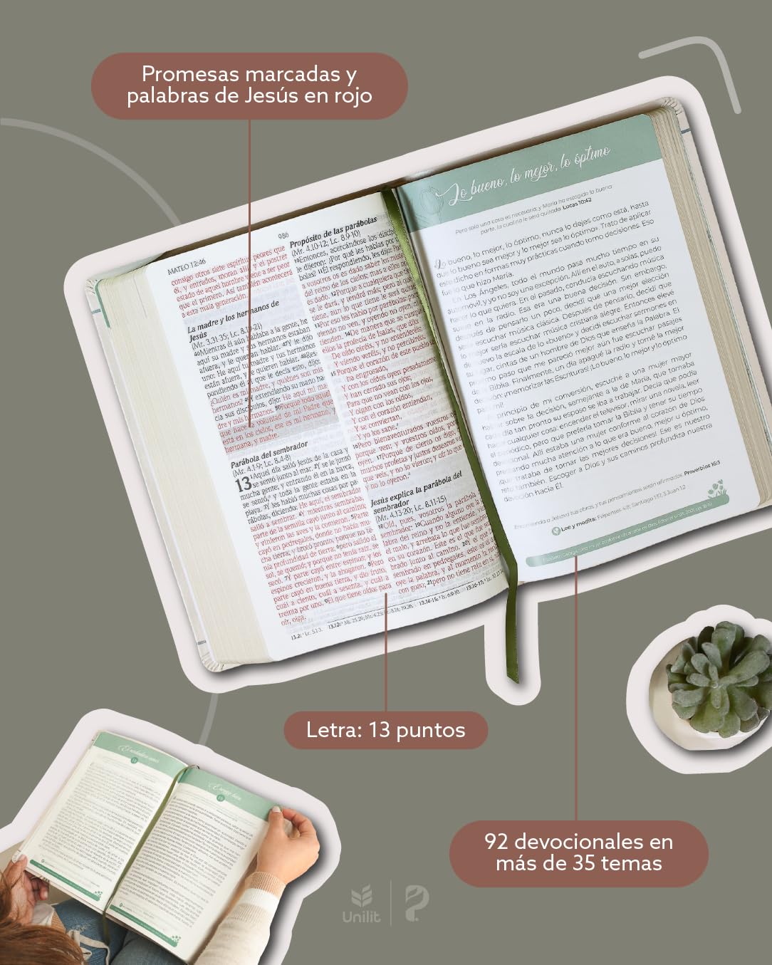 BIBLIAS DE PROMESAS VIRTUOSA