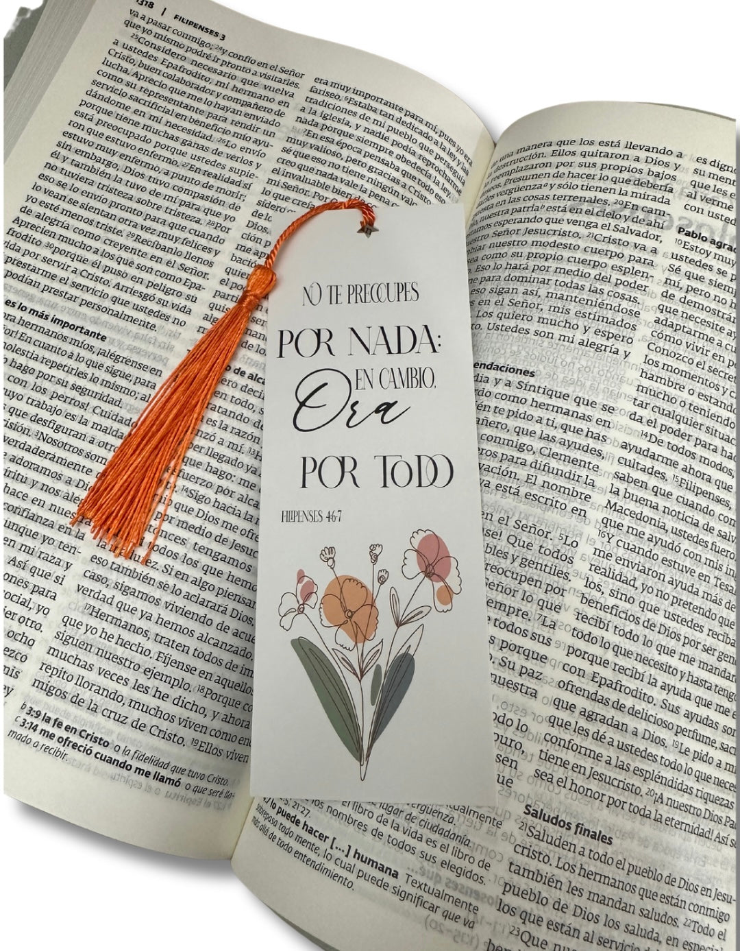 MARCADOR: COLECCIÓN DÁDIVA