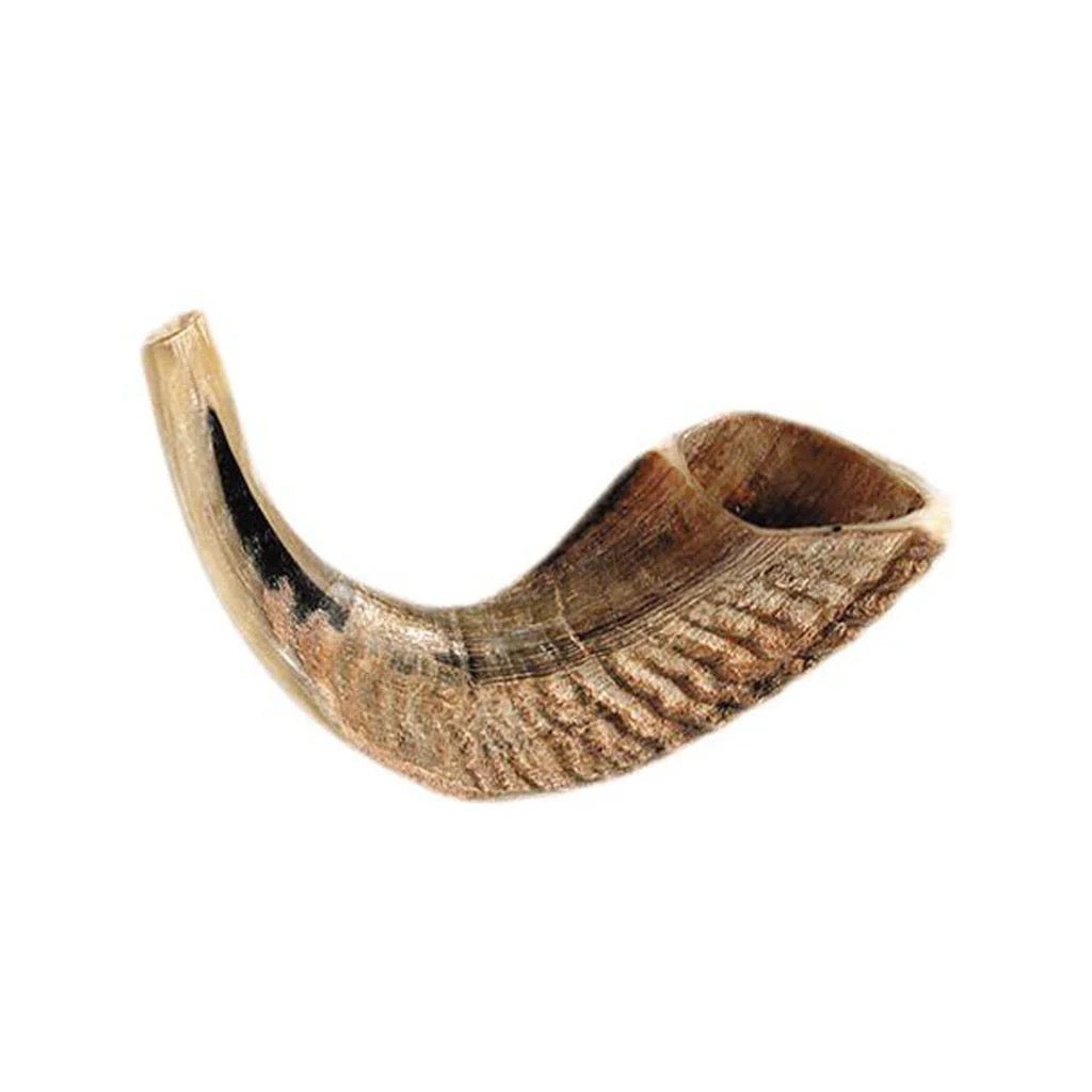 SHOFAR DE CUERNO DE CARNERO