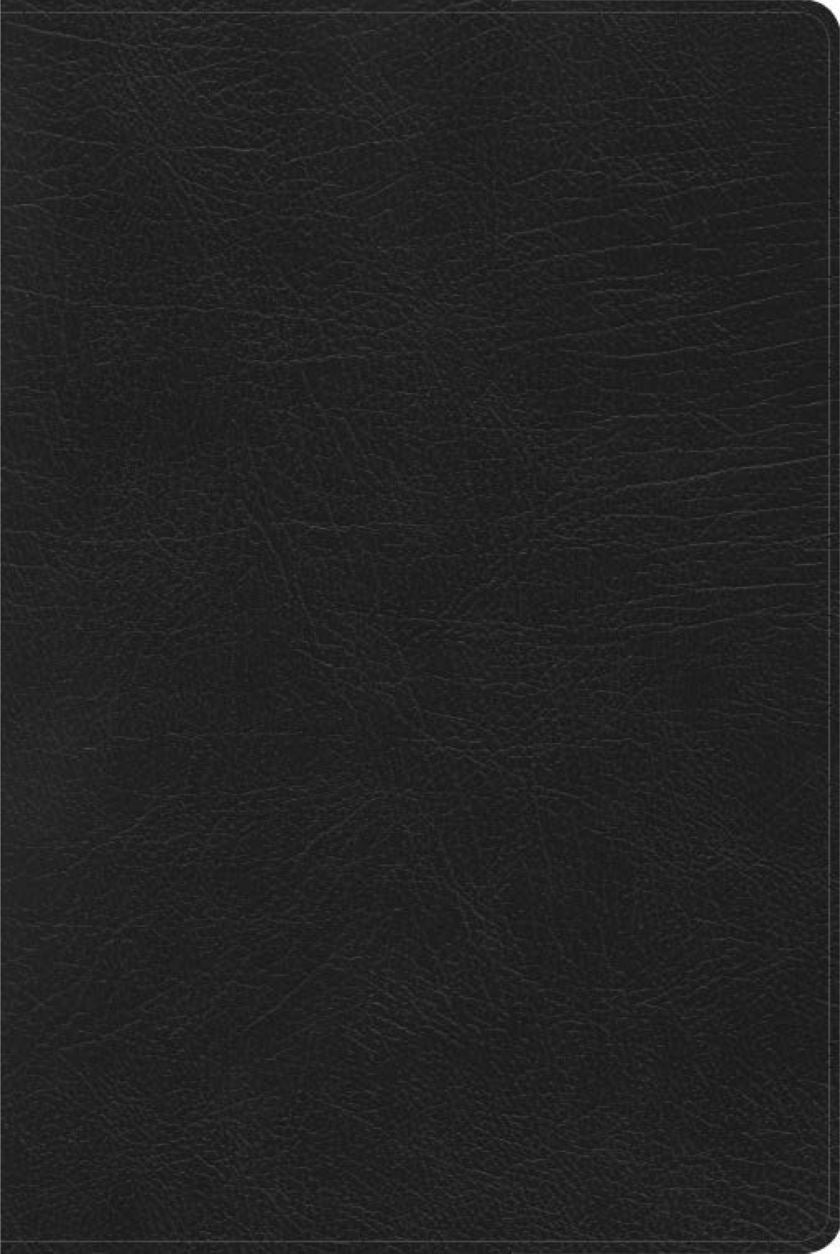 RVR60: BIBLIA DE ESTUDIO ARCOIRIS CON ÍNDICE