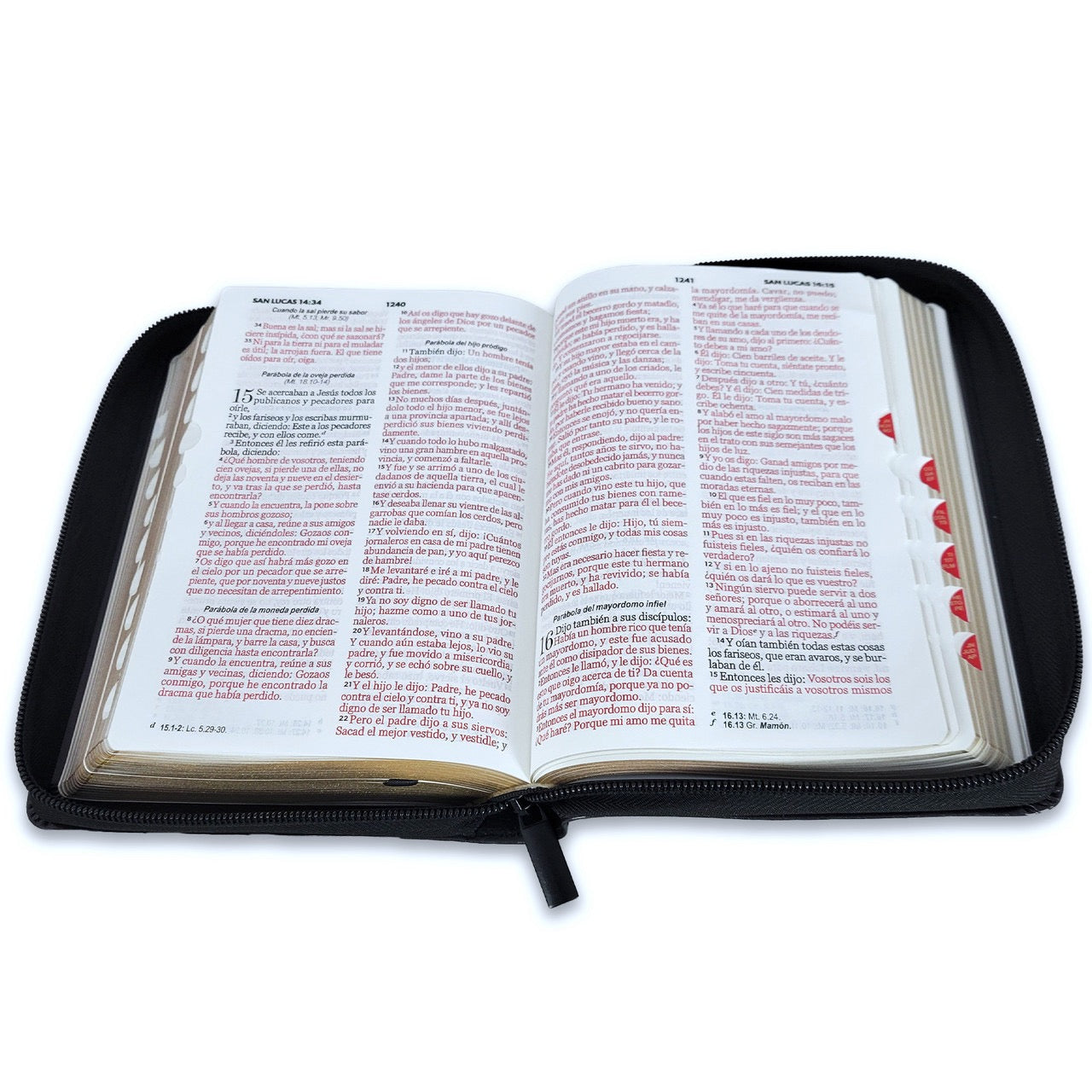 RVR60: SANTA BIBLIA LETRA GRANDE