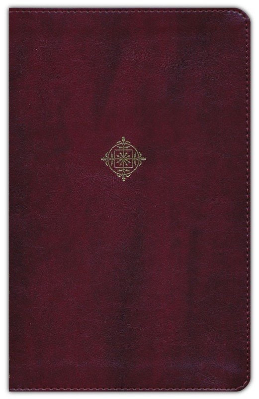 NVI: NIV: THOMPSON HANDY SIZE