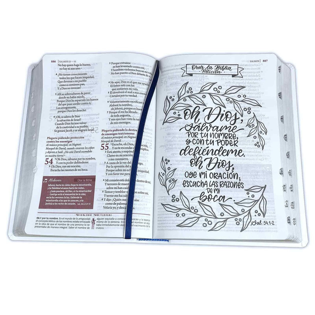 RVR60: BIBLIA DE ESTUDIO SER MUJER
