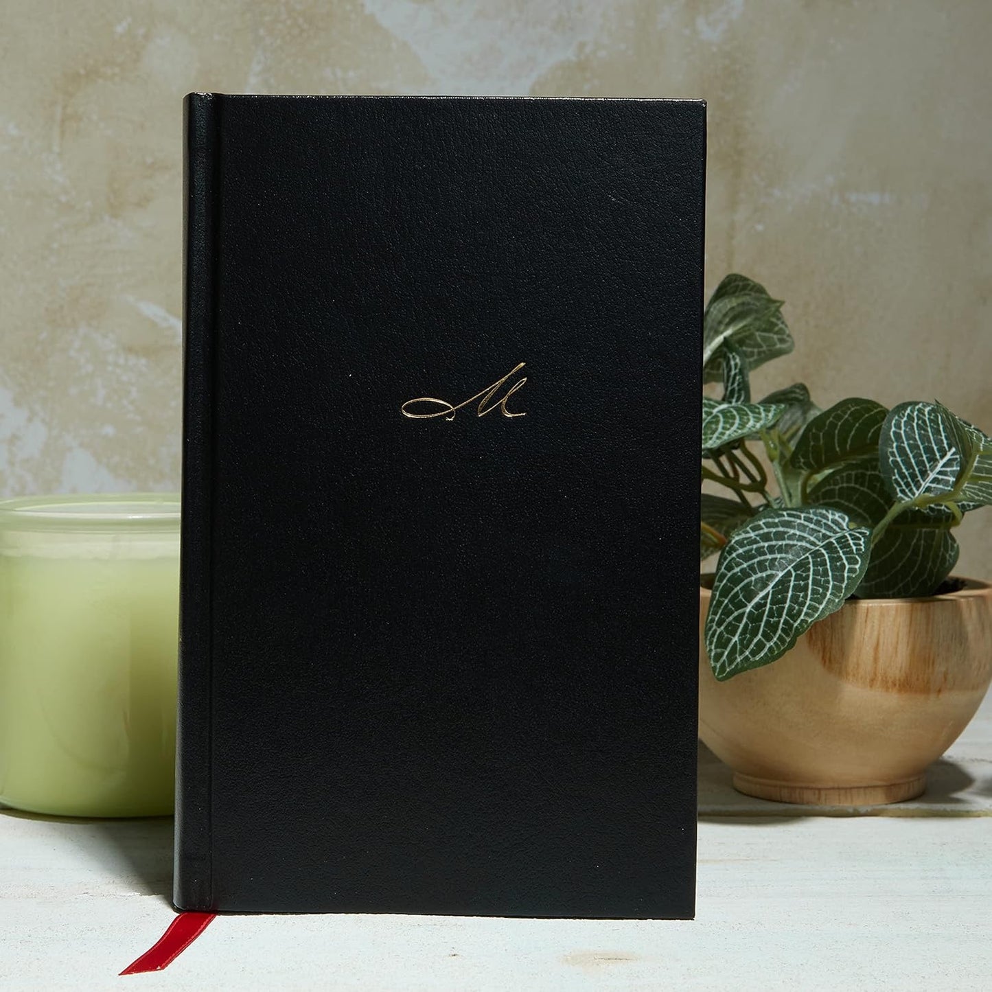 RVR60: NKJV MACARTHUR DAILY BIBLE