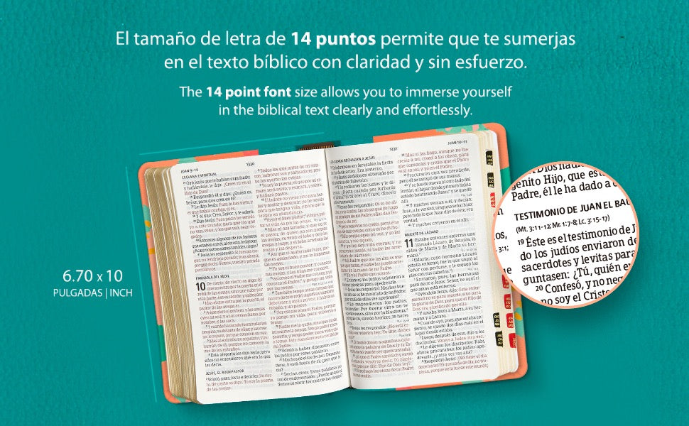 RVR60: SANTA BIBILA LETRA GIGANTE