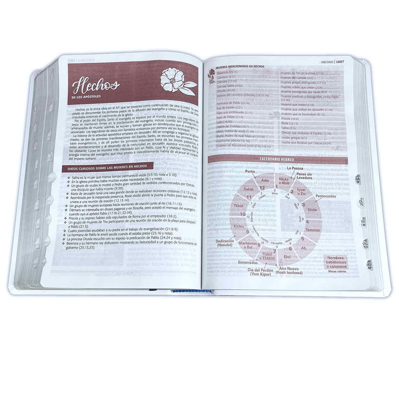 RVR60: BIBLIA DE ESTUDIO SER MUJER