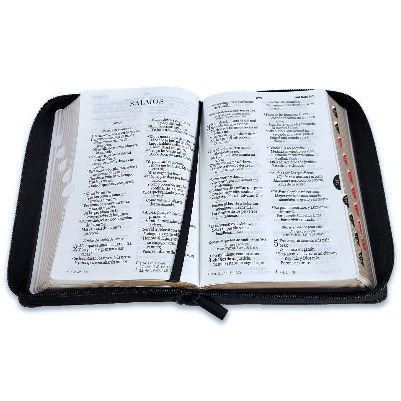RVR60: SANTA BIBLIA LETRA GRANDE