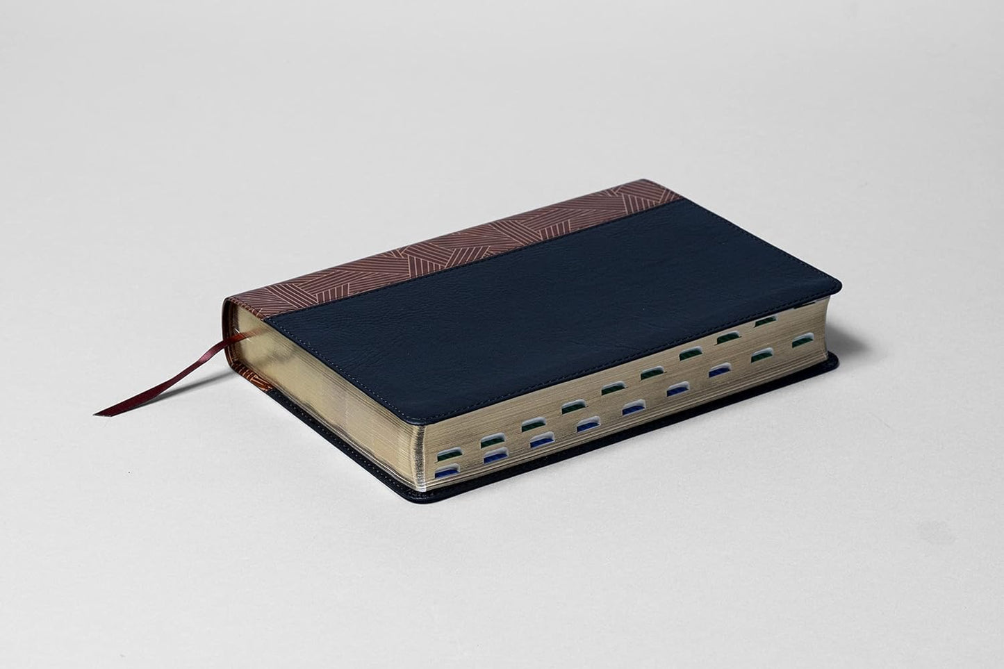 RVR60: BIBLIA DE ESTUDIO ARCOIRIS | CON ÍNDICE