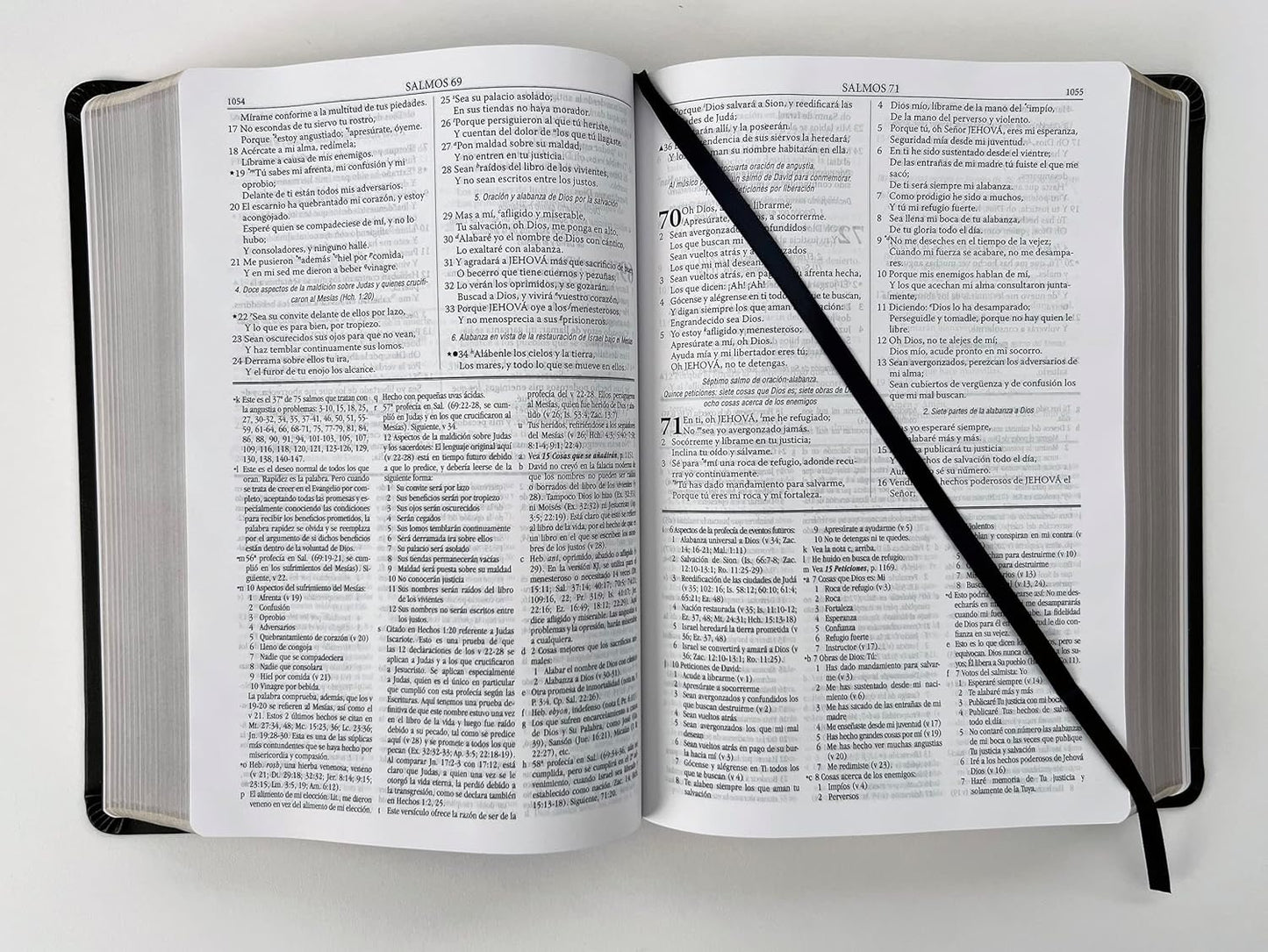 RVR60: BIBLIA DE ESTUDIO DAKE