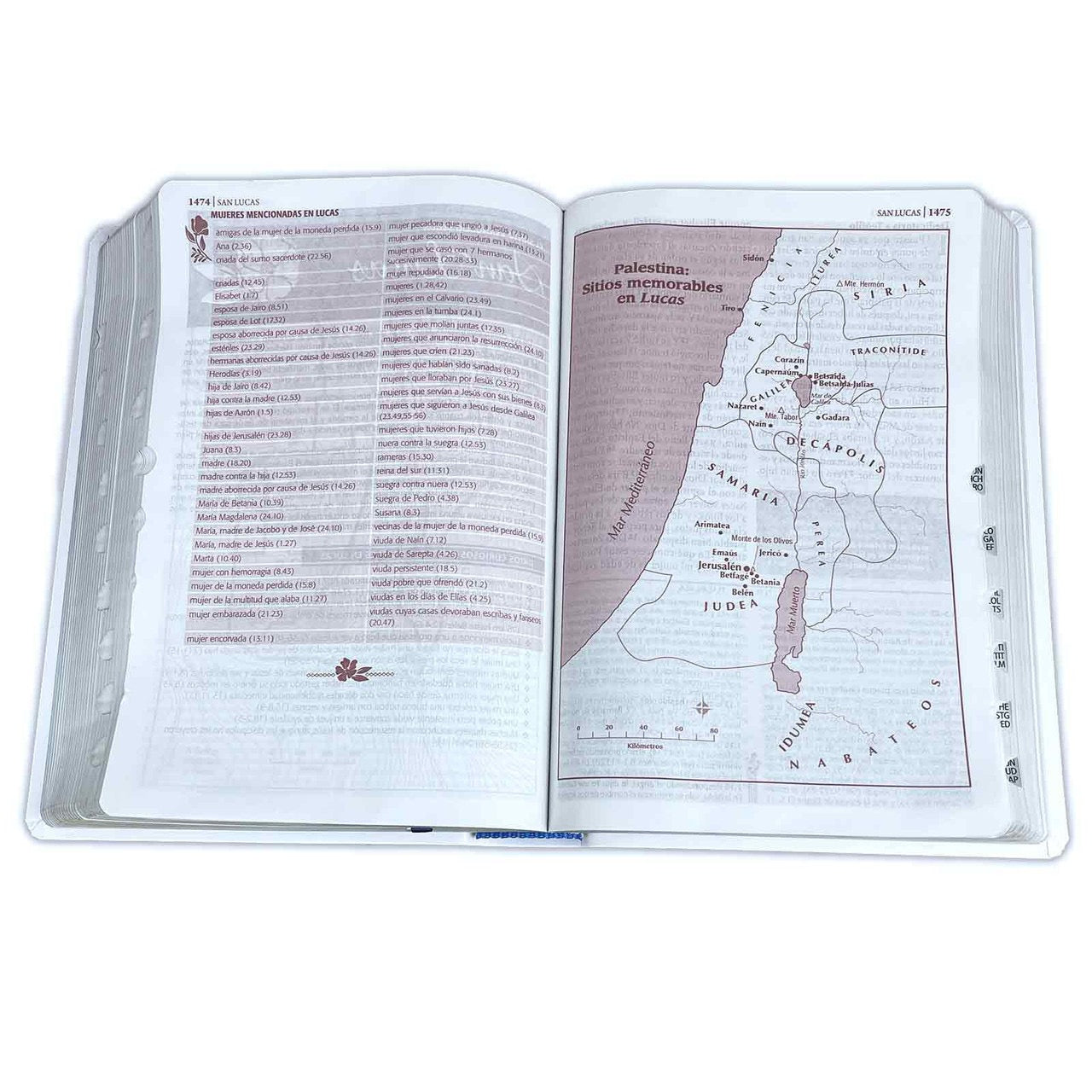 RVR60: BIBLIA DE ESTUDIO SER MUJER