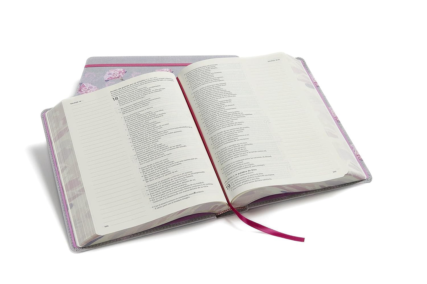 RVR60: BIBLIA DE APUNTES