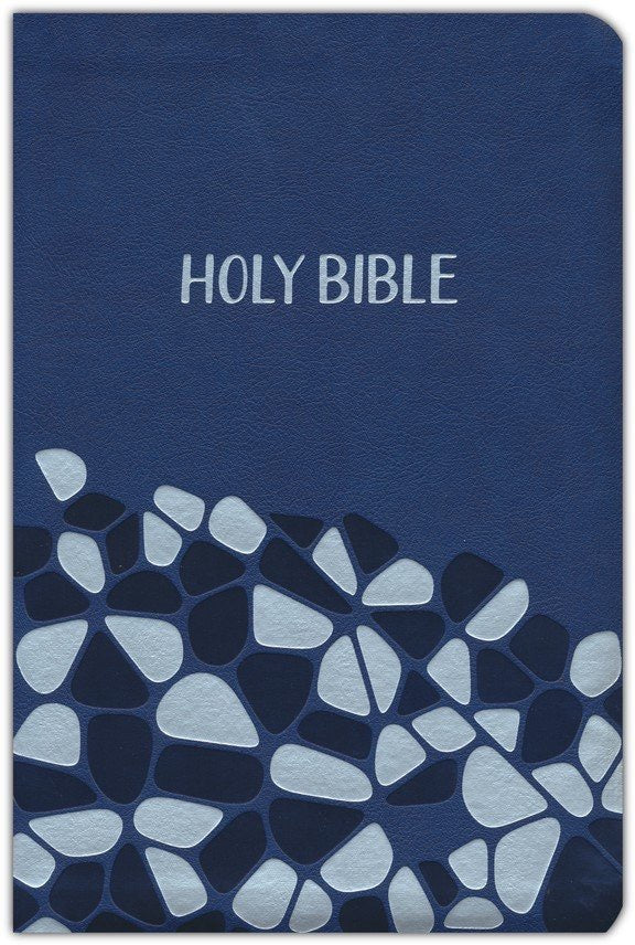 NIV: HOLY BIBLE