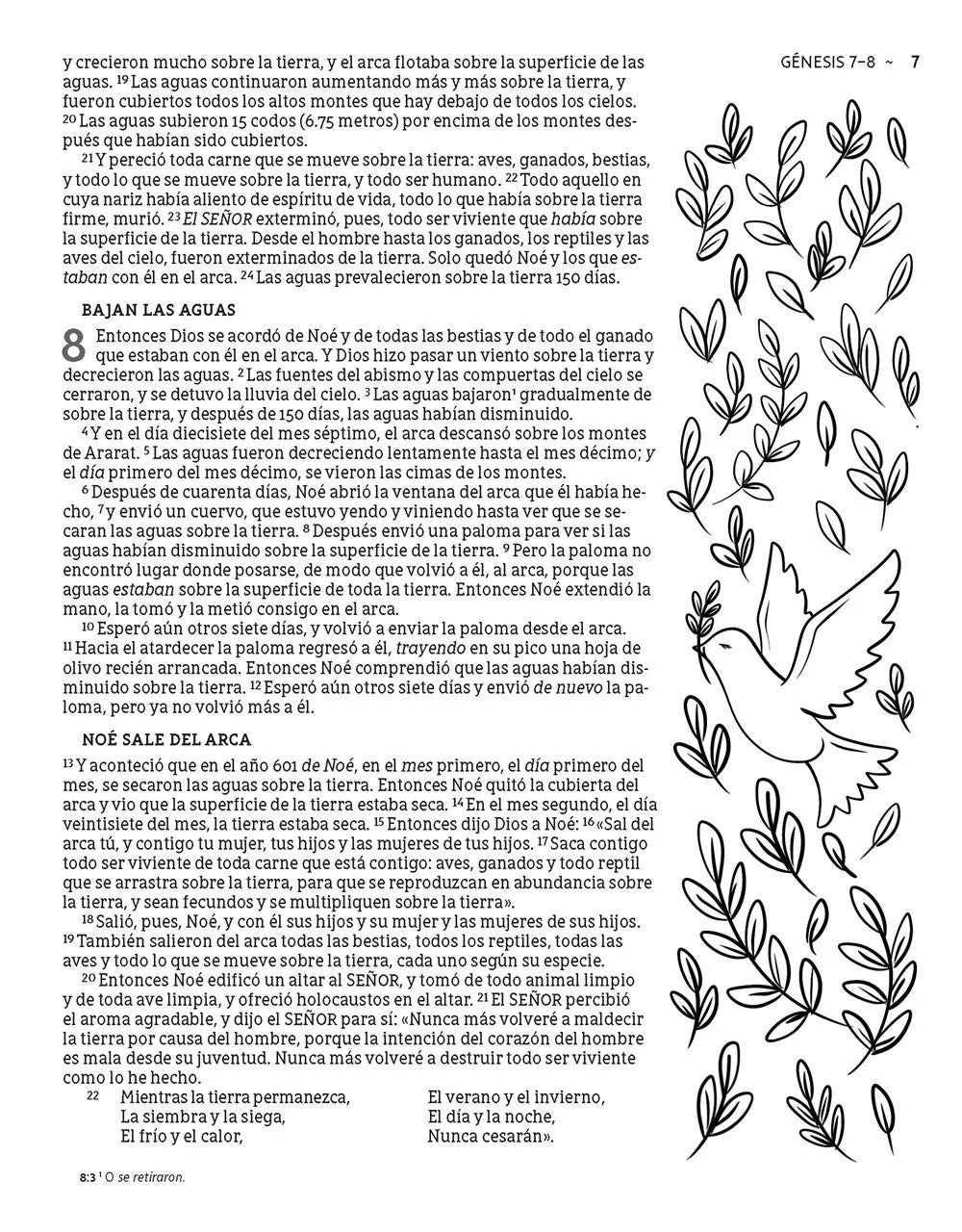 NBLA: SANATA BIBLIA EDICIÓN ARTÍSTICA